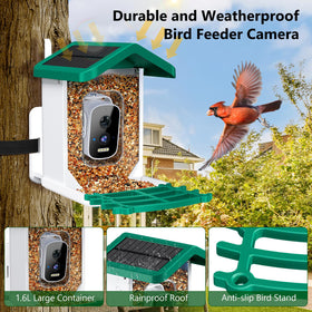 Niuberber AI bird species identification highlights over 10,000 species
