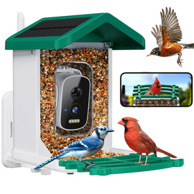 Niuberber smart bird feeder camera view shows real-time birds visiting your garden
