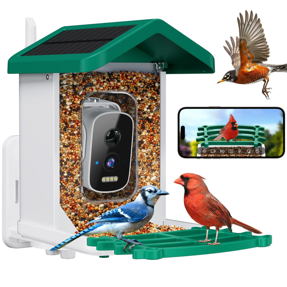 Niuberber smart bird feeder camera view shows real-time birds visiting your garden