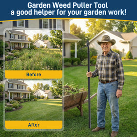 Niulight versatile for lawns, beds, driveways, and gravel paths.