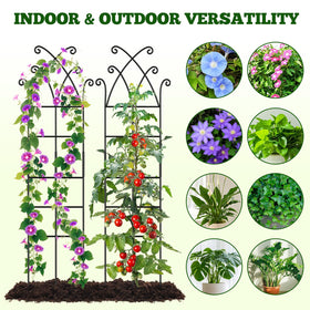 Niuyhe 338in trellis two-stand configuration ideal for small pots and seasonal rearrangement.