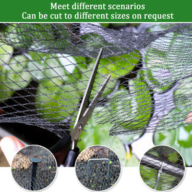 Niuyhe strawberry netting keeps berries safe during harvest.