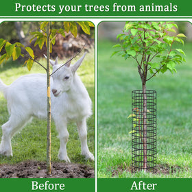 Niuyhe expandable metal mesh guard designed for flexible tree protection