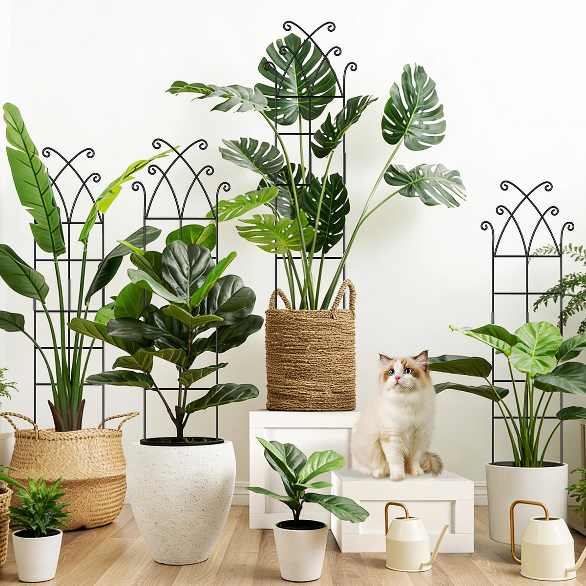 Niuyhe four-pack trellis creates a versatile garden display and plant organization.