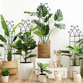 Niuyhe four-pack trellis creates a versatile garden display and plant organization.