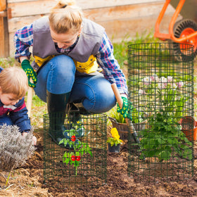 Niuyhe mesh lets sunlight through while safeguarding plants from critters.