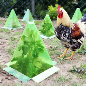 Niuyhe plant cloche 11 inch height protects seedlings from frost and cold nights.