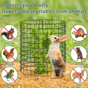Niuyhe rose and flower protection cage guarding against garden visitors.