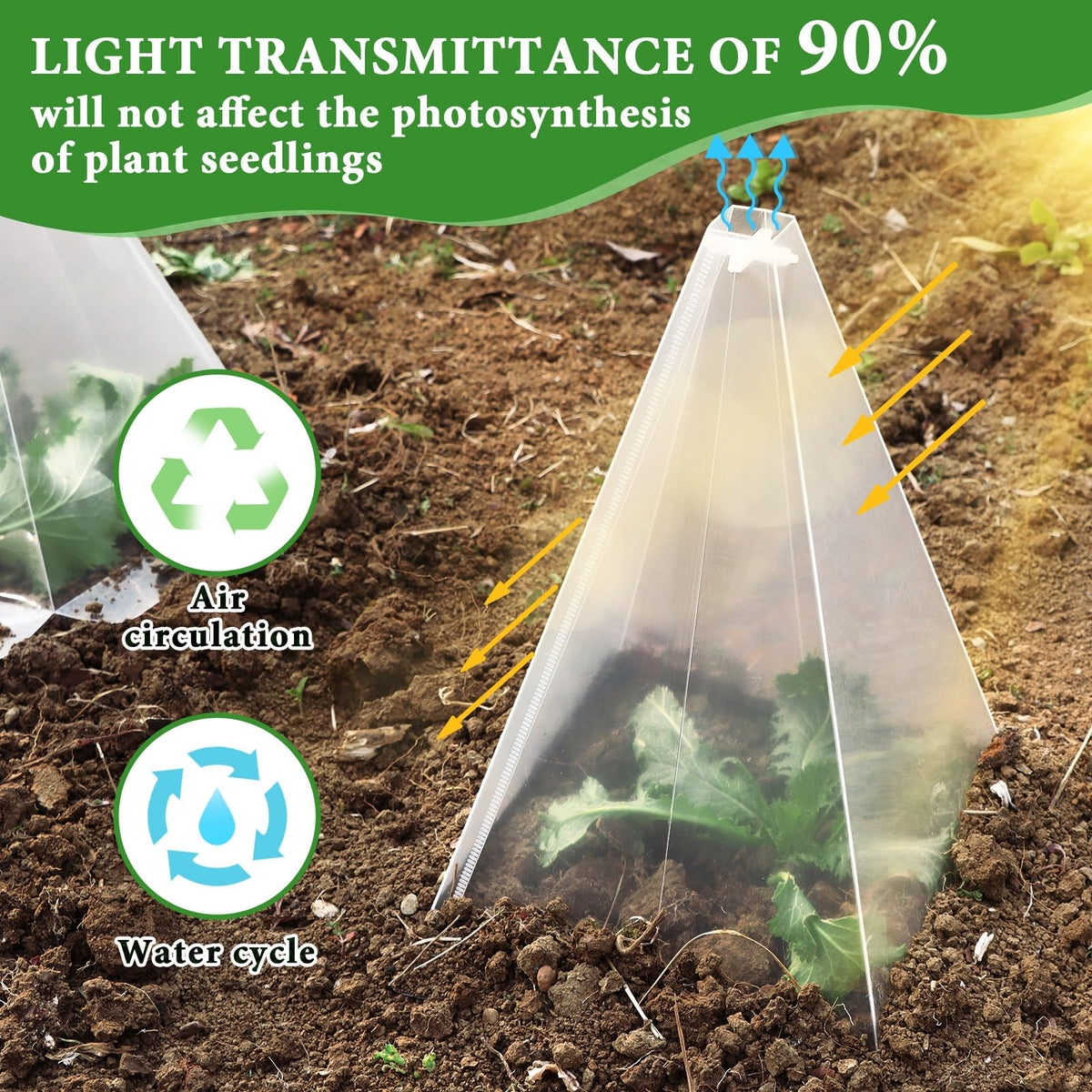 Niuyhe seedling protection in use during early growth stages