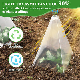 Niuyhe seedling protection in use during early growth stages