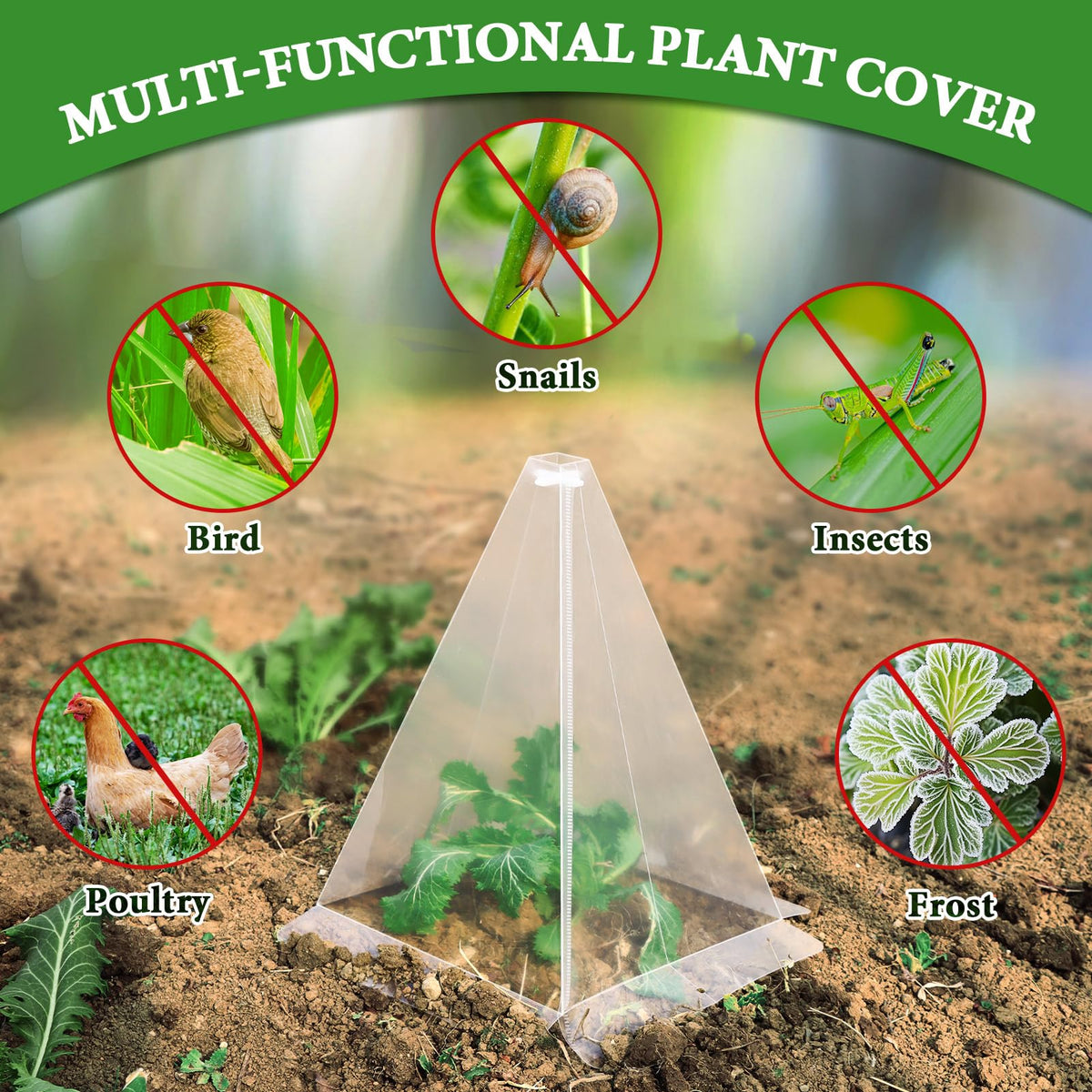 Niuyhe transparent cloche shell lets sunlight reach seedlings