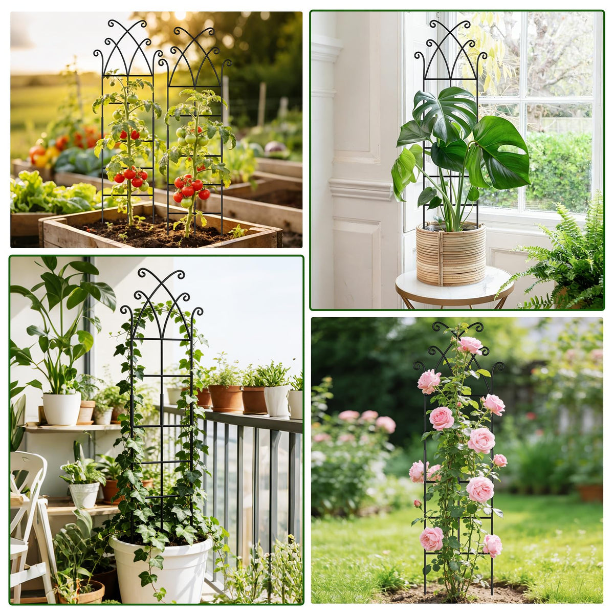 Niuyhe plant trellis supports vining peas and beans with sturdy frame.