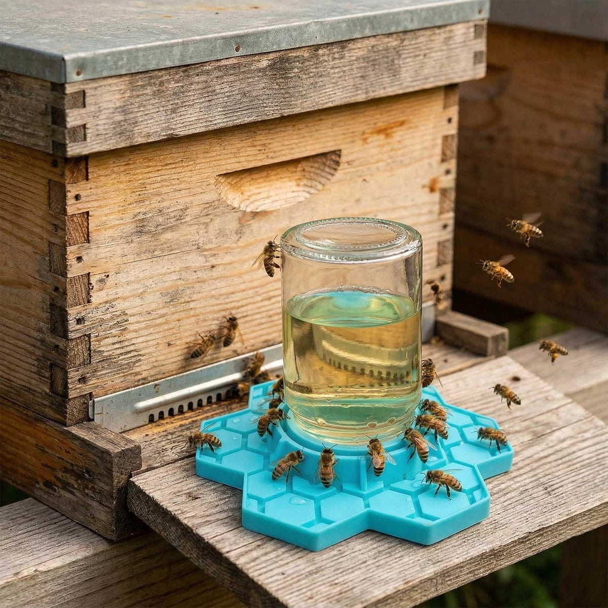 NIZEFEI 2-pack blue bee waterers simplify backyard beekeeping