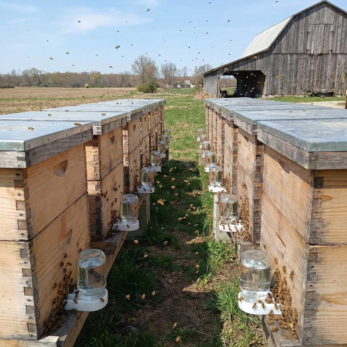 NIZEFEI bee feeder at hive entrance seen from outside