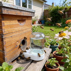 NIZEFEI feeder lid secures jar fed with syrup or water