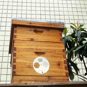 NIZEFEI Multi-use beekeeping disc shown on a wooden hive for versatility