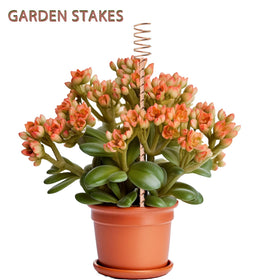 NizHome eighteen-pack antennas suited for multiple plant sizes and arrangements.