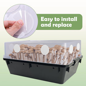 Nkiy Quen 48-pack filter disks provide replacements for mushroom growing setups