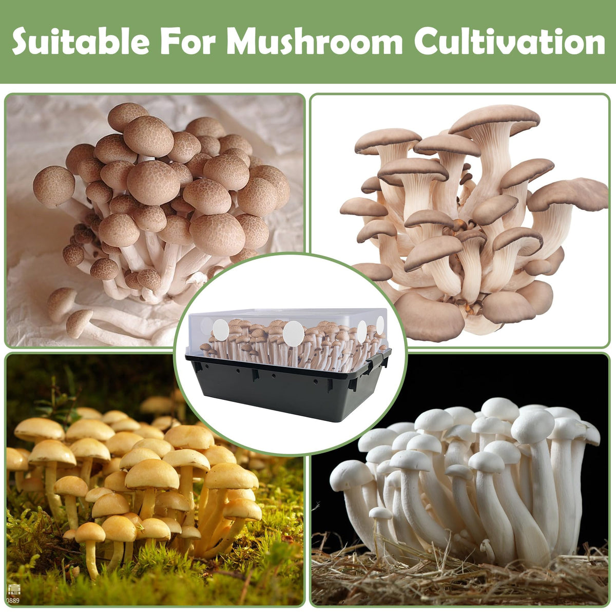 Nkiy Quen monotub filtration pad maintains consistent air flow