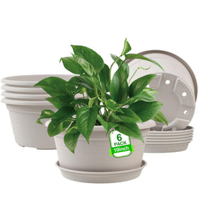 NNARRE 6-pack 10-inch plant pots with tray for neat drainage and spills.