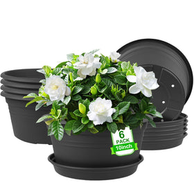 NNARRE 6-pack 10-inch plant pot with rolled rim for easy lifting.