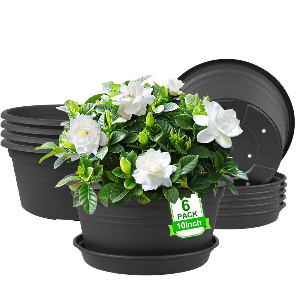 NNARRE 6-pack 10-inch plant pot with rolled rim for easy lifting.