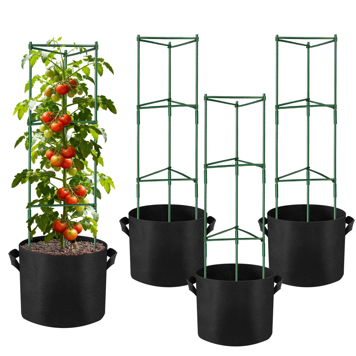 NNG 4-pack 48-inch tomato cages provide sturdy vertical support.