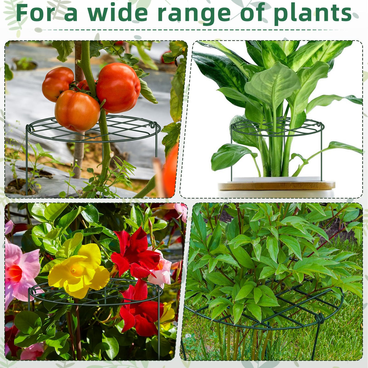 NNG versatile plant supports for tomatoes roses cosmos and more
