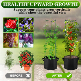 NNG adjustable-height tomato cage grows with plants for taller vegetables.