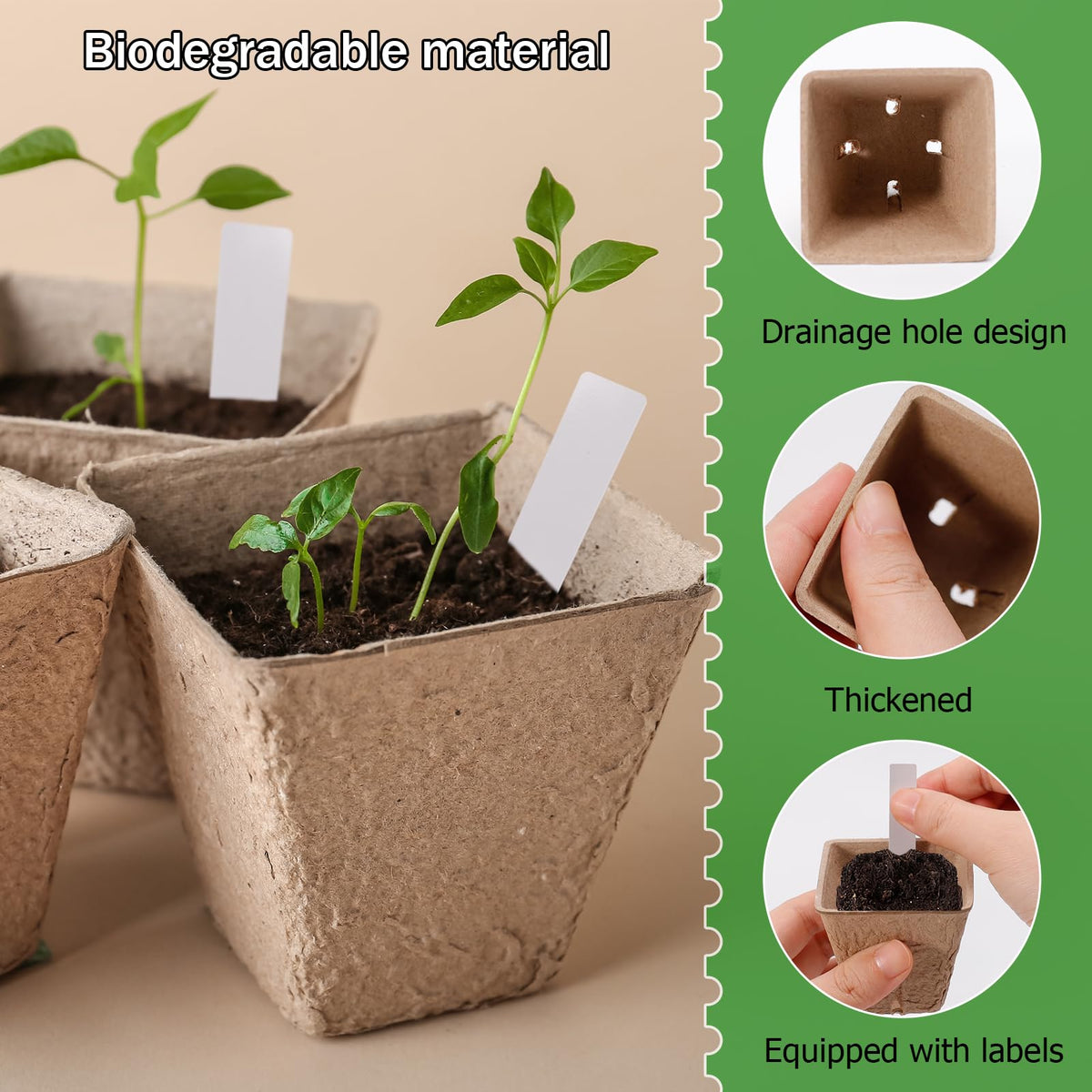 NNG beginner-friendly seed starter simplifies setup for new gardeners.