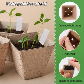 NNG beginner-friendly seed starter simplifies setup for new gardeners.