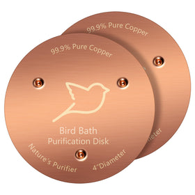 NNG bird bath copper disk top view showing a clean, inviting water