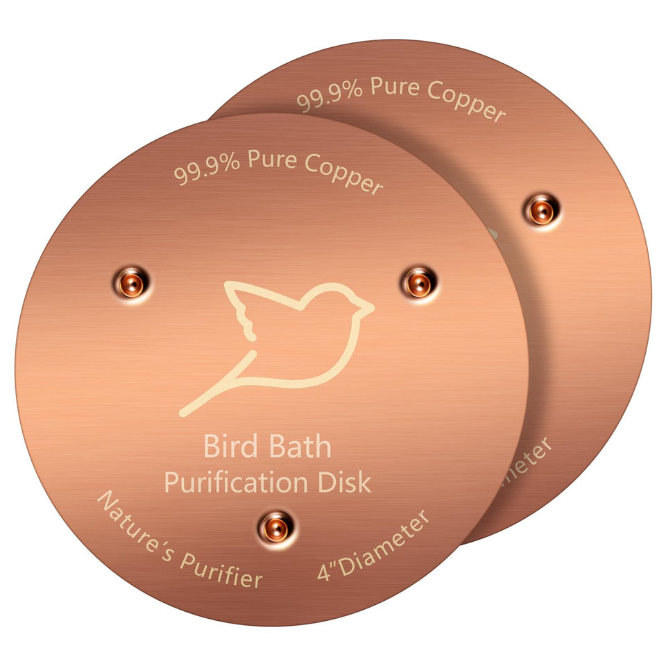 NNG bird bath copper disk top view showing a clean, inviting water