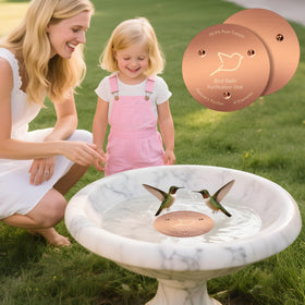 NNG copper disk triple-point support stabilizes water contact