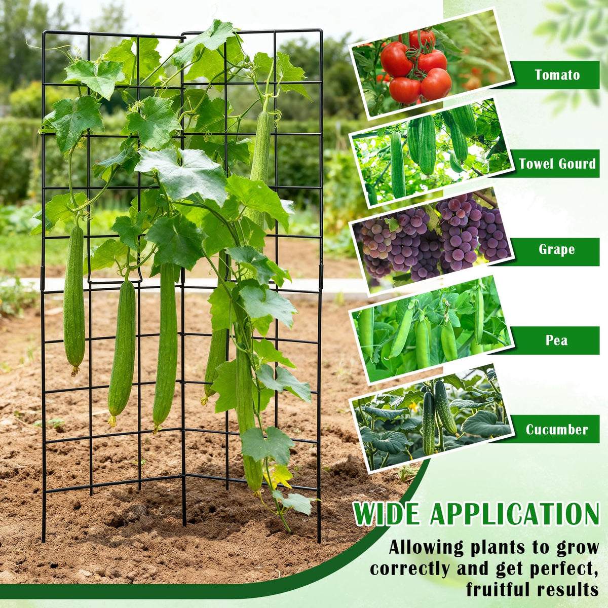 NNG trellis used as flat background or within bed space