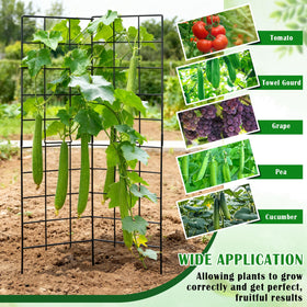 NNG trellis used as flat background or within bed space