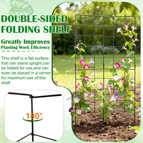 NNG metal garden trellis with anti-rust coating durability