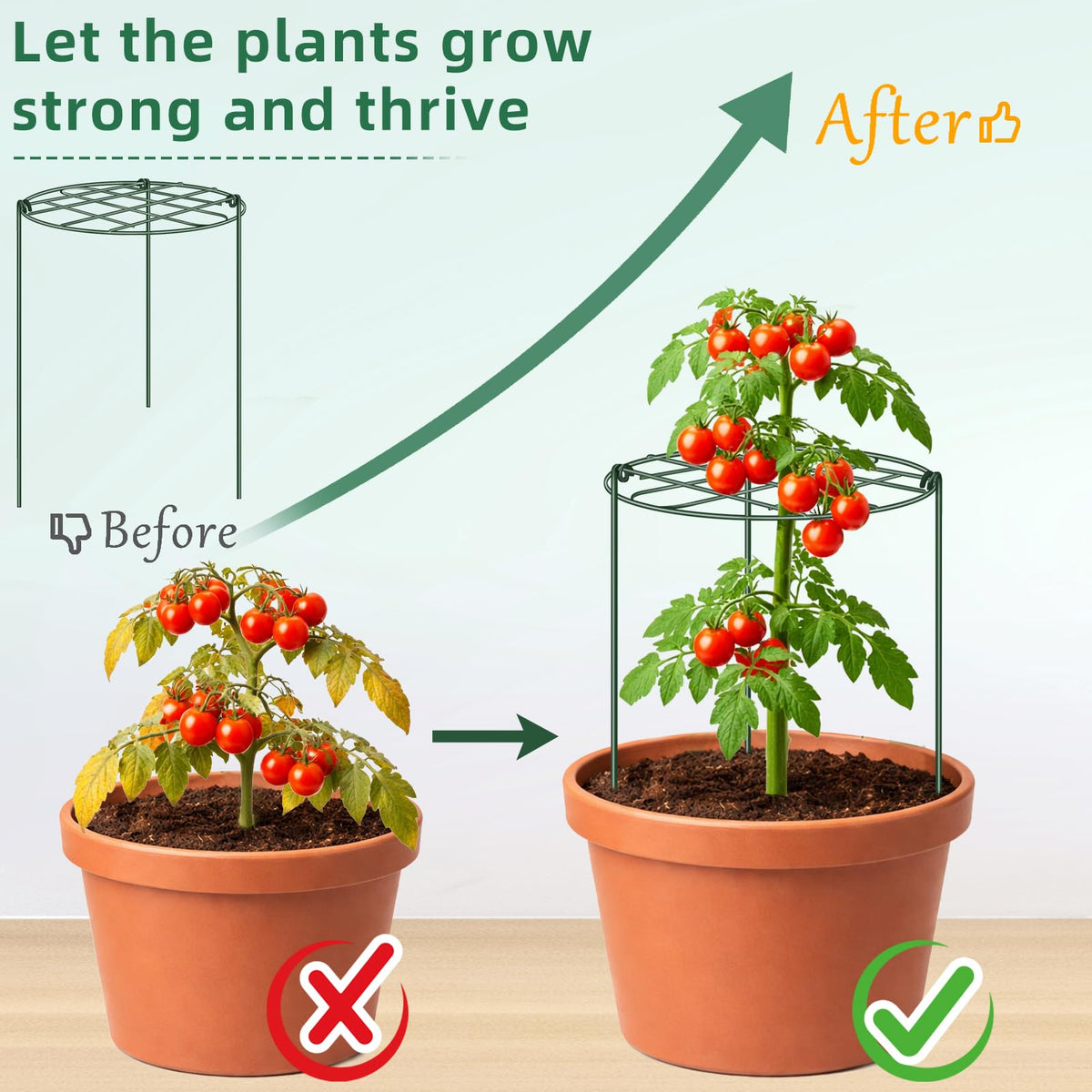 NNG multi-plant-stability cage protects multiple stems from wind
