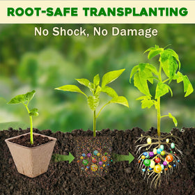 NNG plant labels help organize seed varieties during propagation.