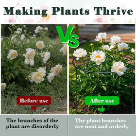 NNG rounded plant-support shape guides vines and stems