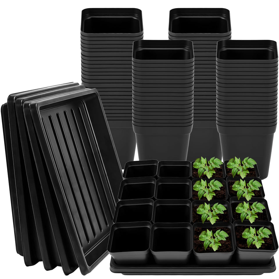 NNG square black 2.6 inch pots ideal for seed starting and transplant readiness