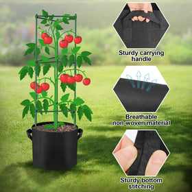 NNG tool-free assembly for quick setup of tomato cages.