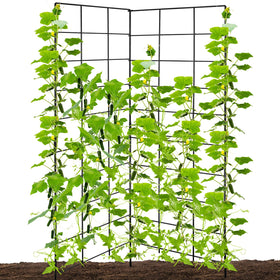 NNG two-panel foldable cucumber trellis ready for climbing cucumbers