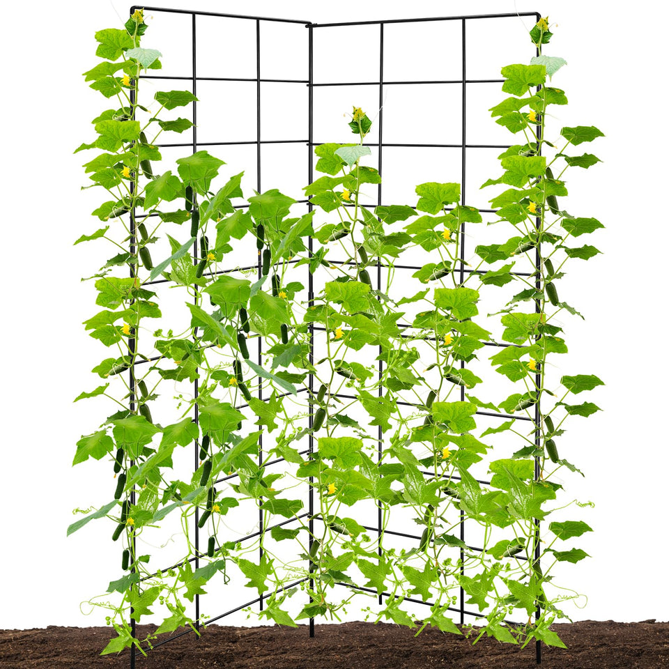 NNG two-panel foldable cucumber trellis ready for climbing cucumbers