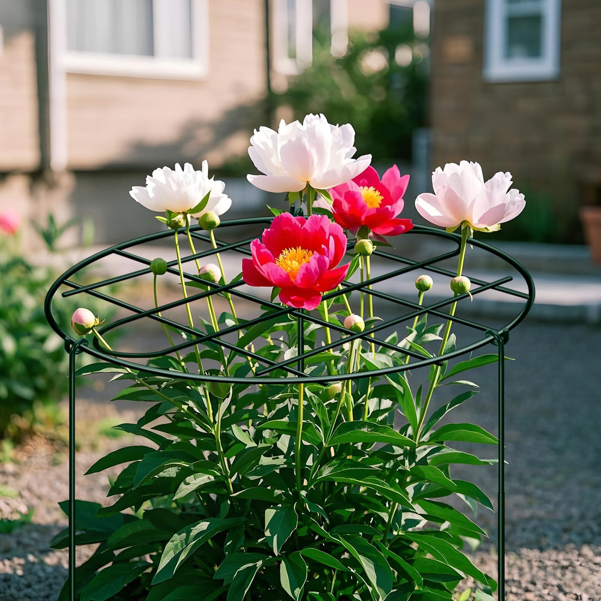 NNG weather-resistant garden stake endures sun and rain