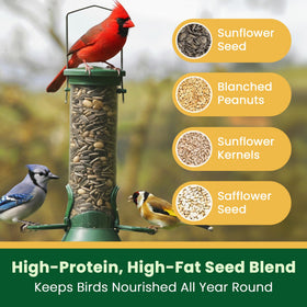 No mess outdoor feeder setup with reduced seed spill from Happy Wings mix.