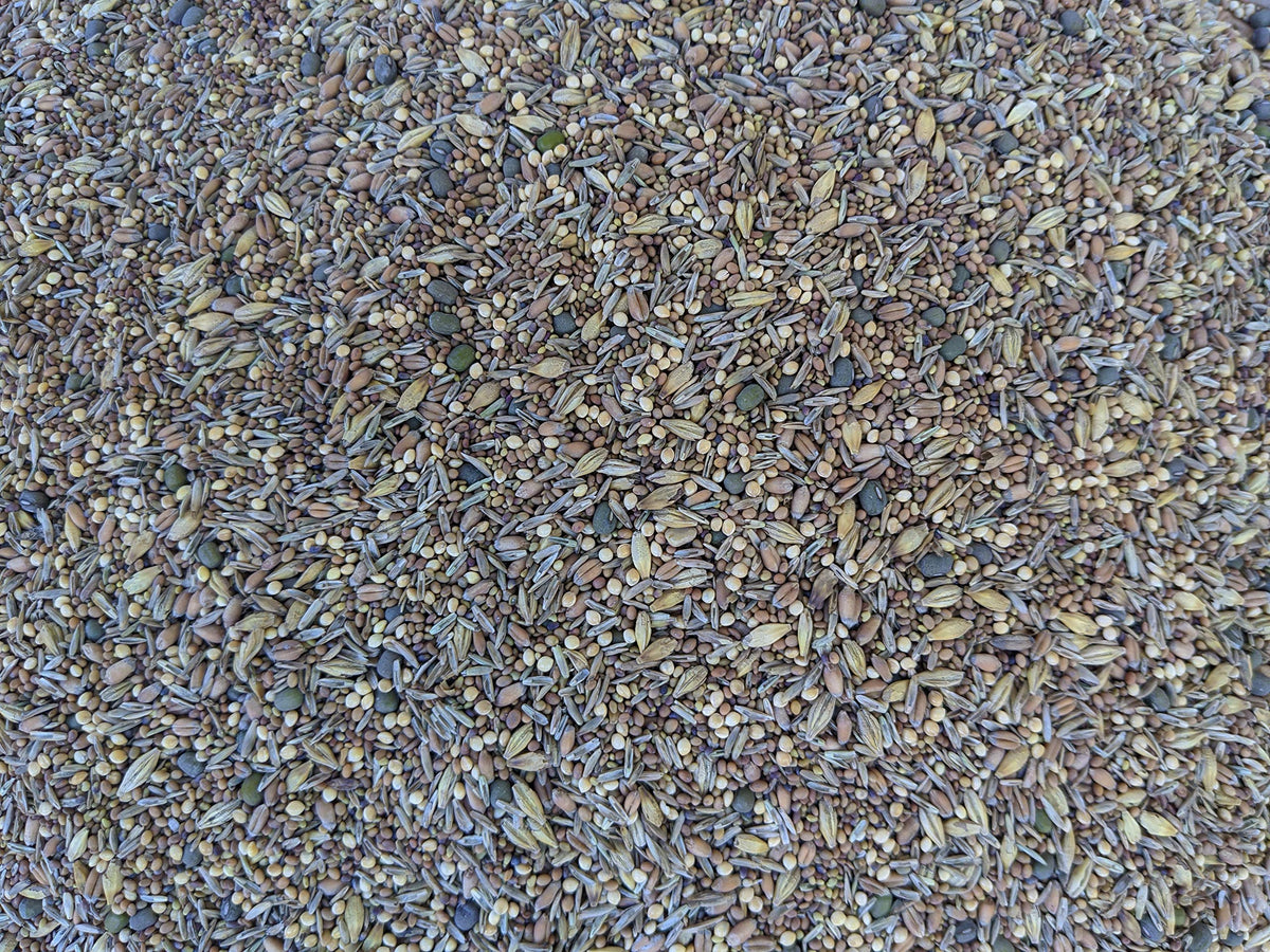 No-Till Solutions premium chicken pasture seed mix bag for grazing and sprouts