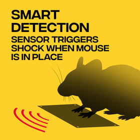No-touch disposal on Victor M250B enables hygienic cleanup.