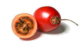Tamarillo seeds germination close-up from Noah's Seed Depository