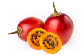 Tamarillo seeds showing harvest-ready potential from Noah's Seed Depository